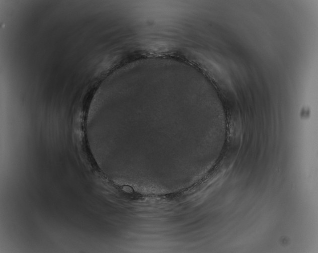 X0000103321346200809261126