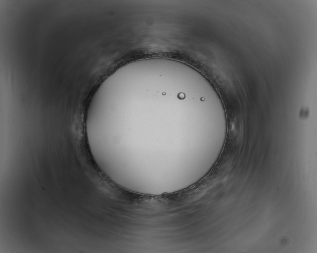 X0000103321348200809261126