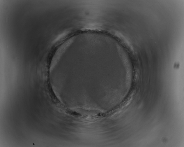 X0000103321350200809261126