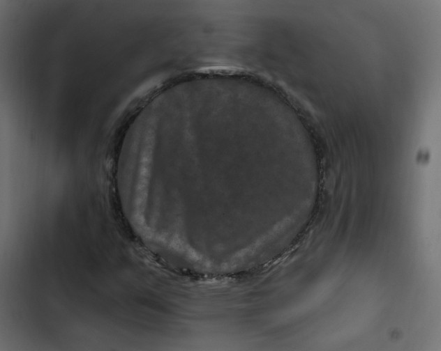 X0000103321351200809261126