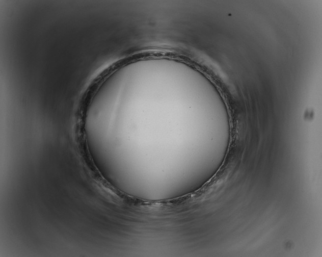 X0000103321352200809261126