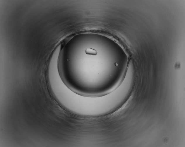 X0000103321353200809261126