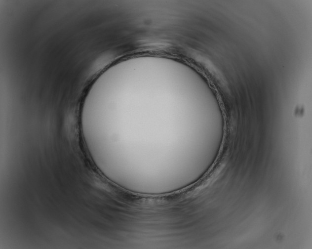 X0000103321354200809261126