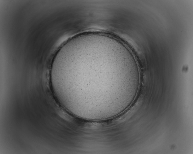 X0000103321355200809261126