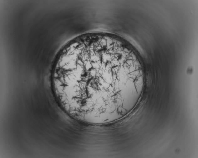 X0000103321356200809261126