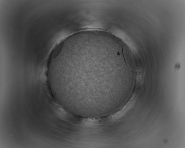 X0000103321357200809261126