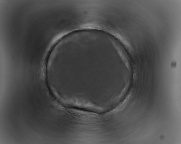 X0000103321358200809261126