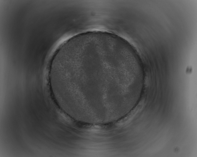 X0000103321359200809261126