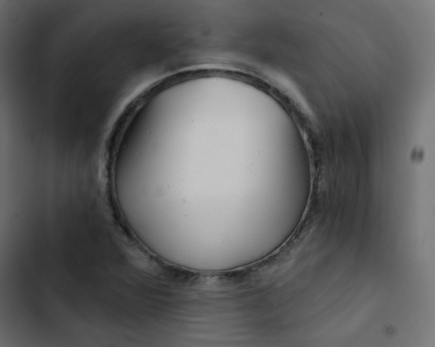 X0000103321360200809261126