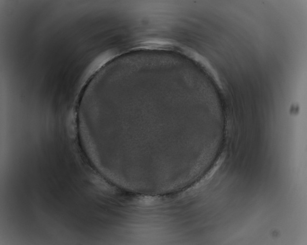 X0000103321362200809261126