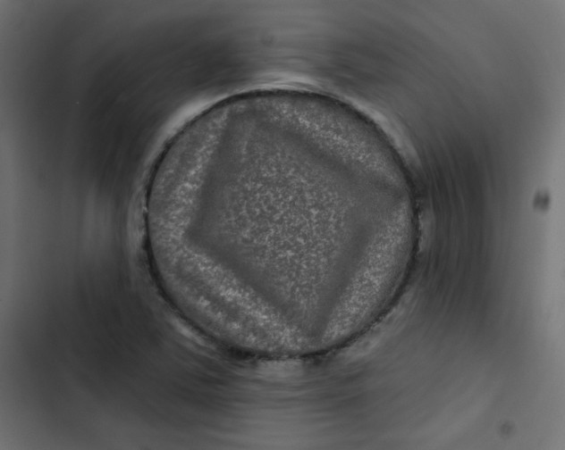 X0000103321363200809261126