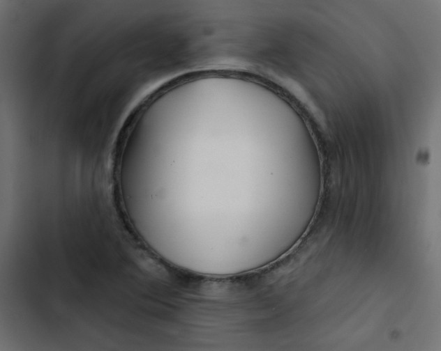 X0000103321364200809261126