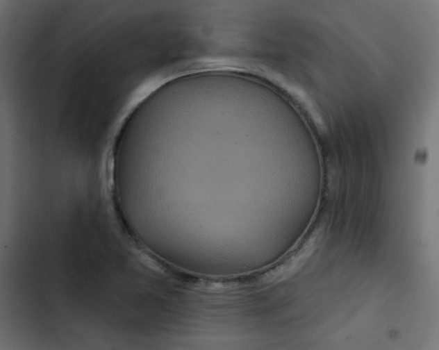 X0000103321365200809261126