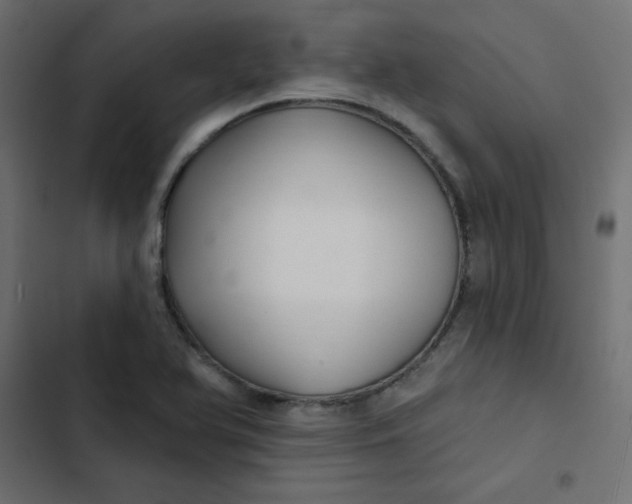 X0000103321366200809261126