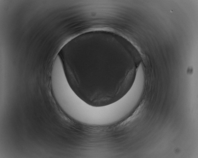 X0000103321369200809261126