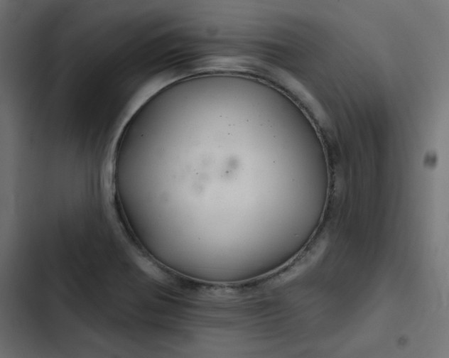 X0000103321370200809261126