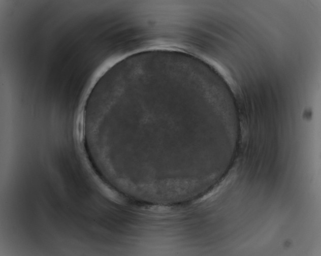 X0000103321371200809261126