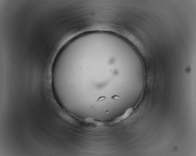 X0000103321372200809261126