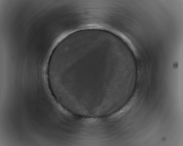 X0000103321373200809261126