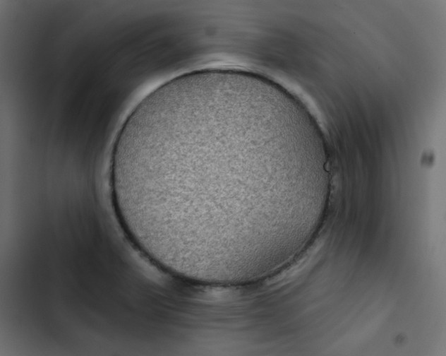 X0000103321375200809261126