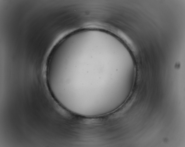 X0000103321376200809261126