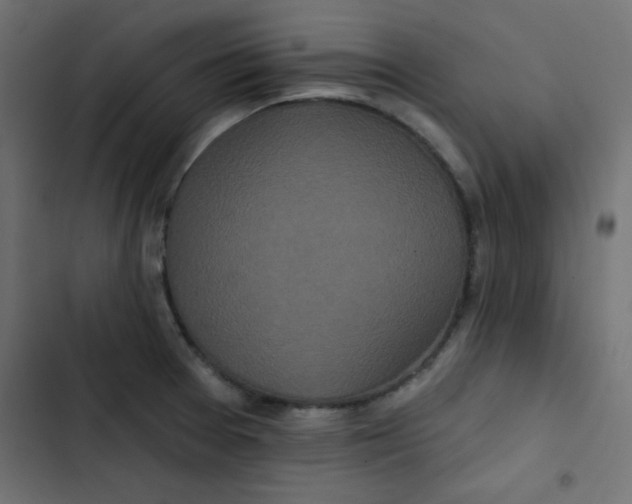 X0000103321377200809261126