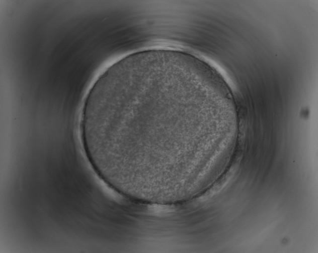 X0000103321379200809261126