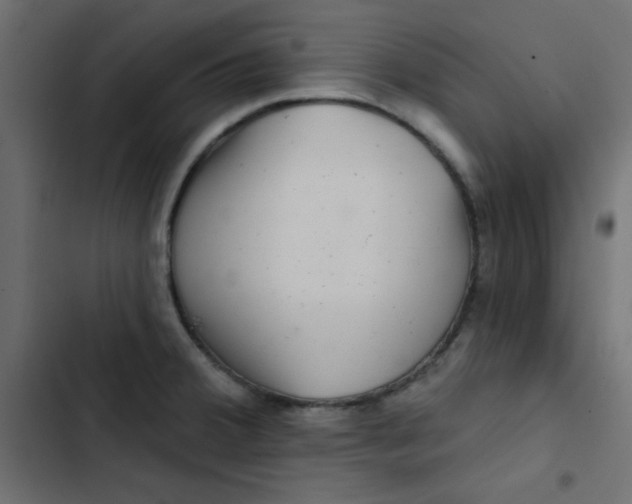 X0000103321380200809261126