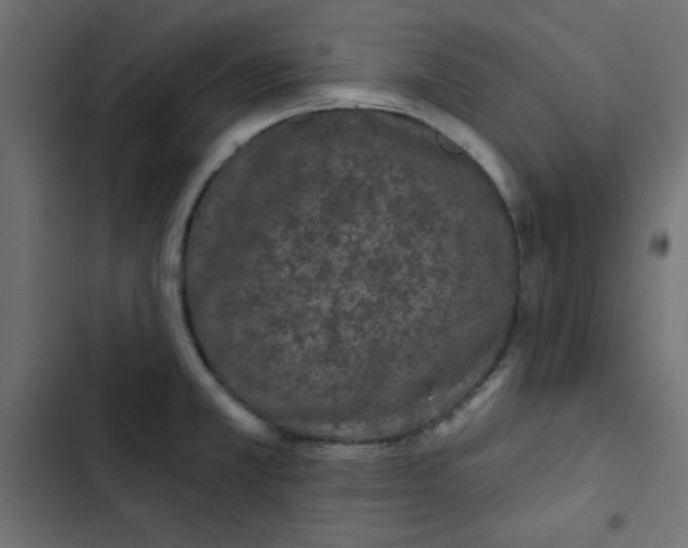 X0000103321381200809261126