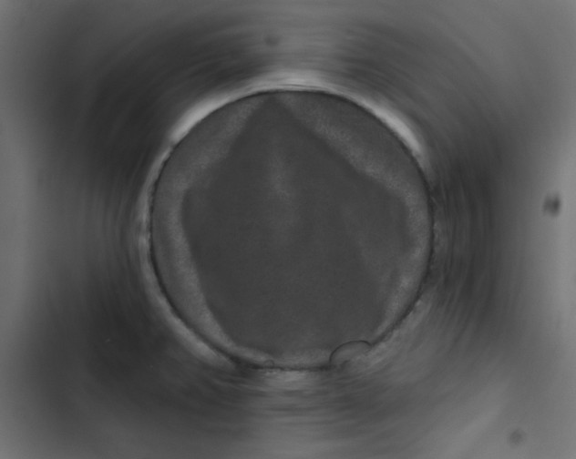 X0000103321382200809261126