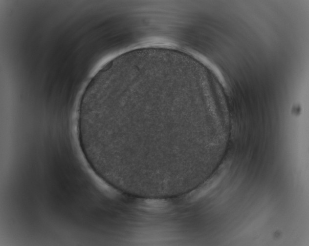 X0000103321383200809261126