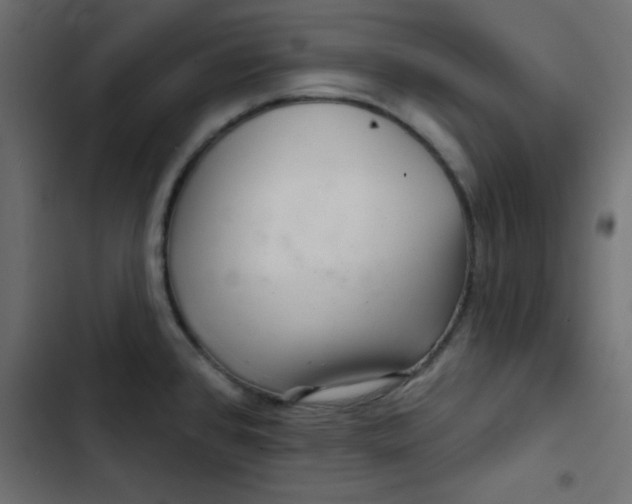 X0000103321384200809261126