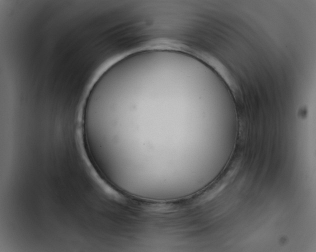 X0000103321387200809261126