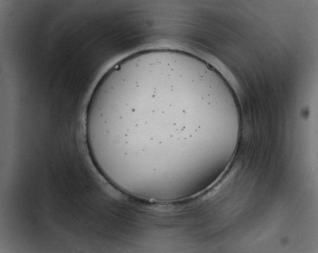 X0000103321388200809261126