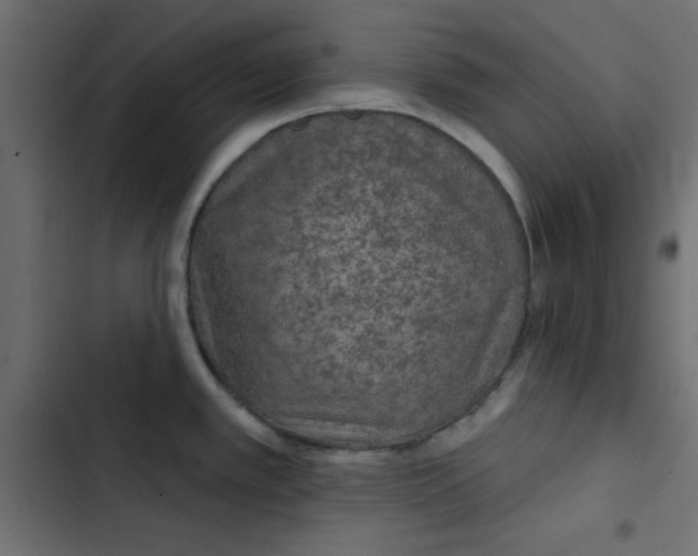 X0000103321389200809261126