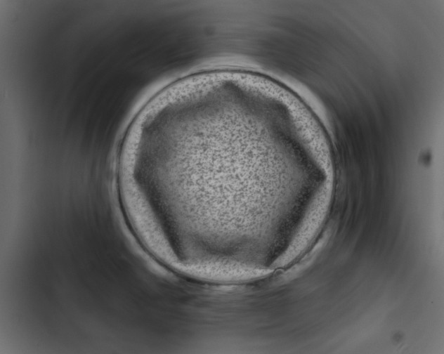 X0000103321390200809261126