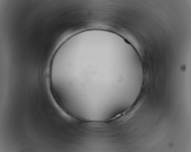 X0000103321391200809261126