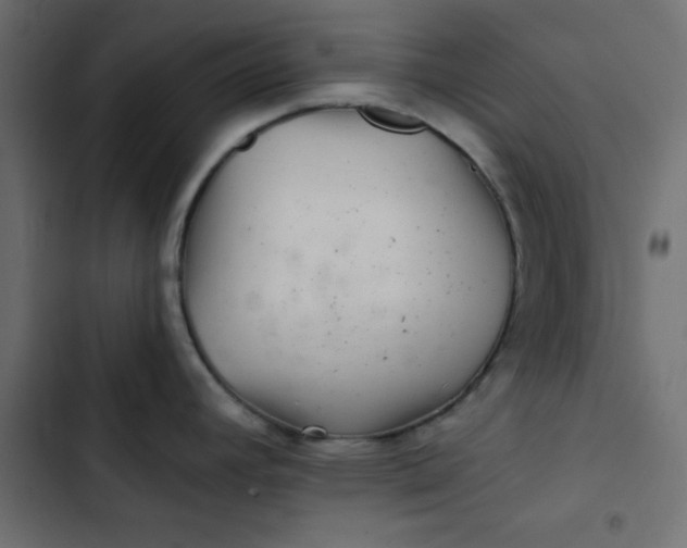 X0000103321392200809261125