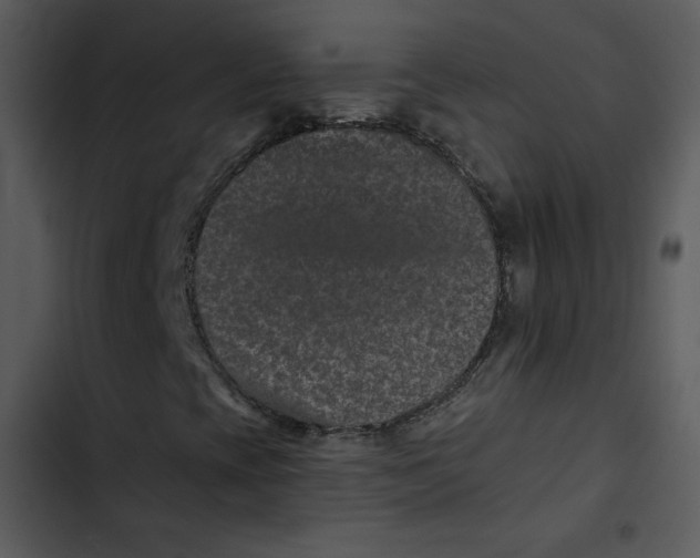 X0000103321393200809261125