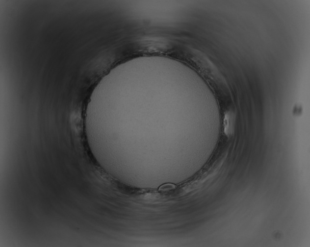 X0000103321395200809261125