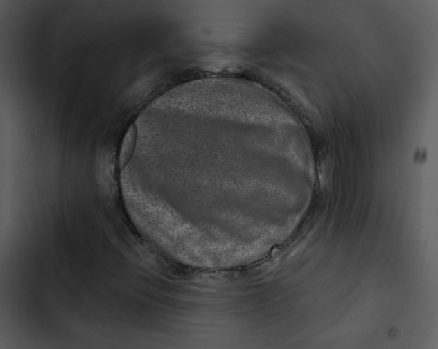 X0000103321396200809261125