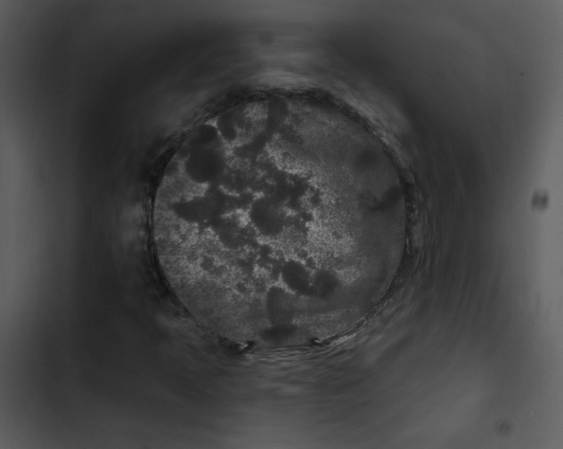 X0000103321397200809261125