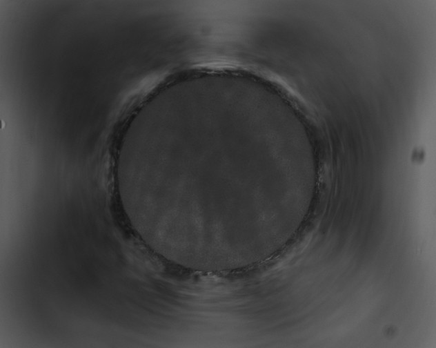 X0000103321398200809261125