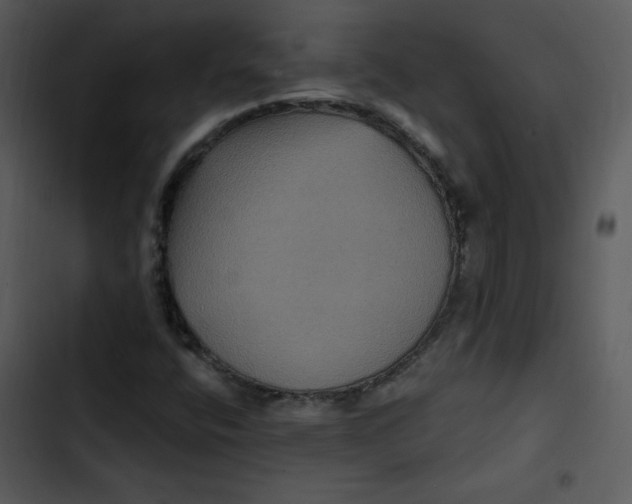 X0000103321400200809261125