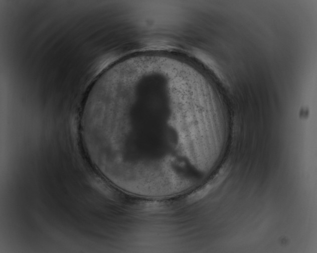 X0000103321401200809261125