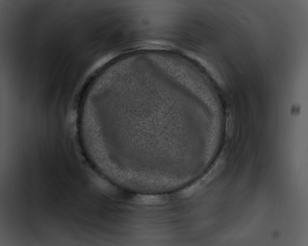 X0000103321402200809261125