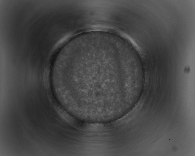 X0000103321403200809261125