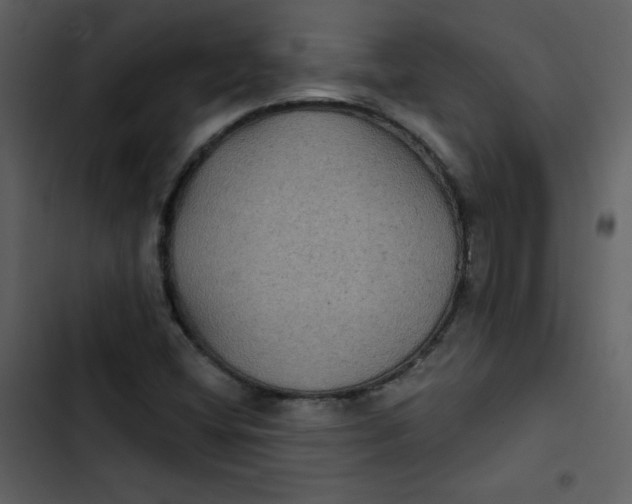 X0000103321404200809261125