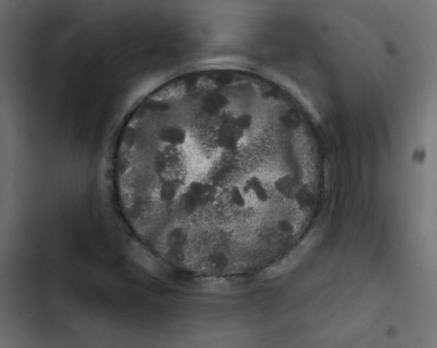 X0000103321405200809261125