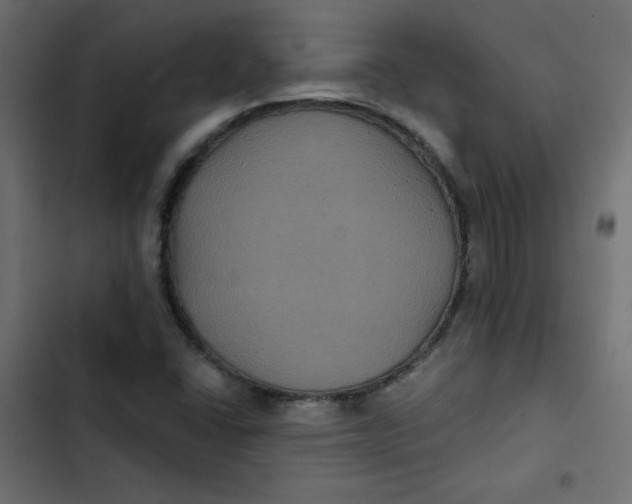 X0000103321406200809261125